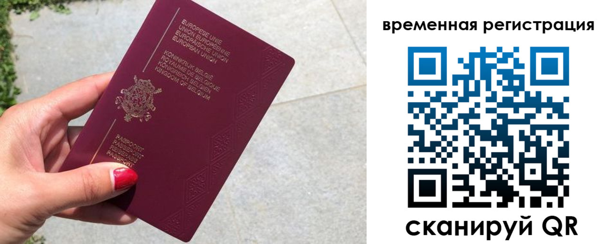 пропишу в квартире в Московской области